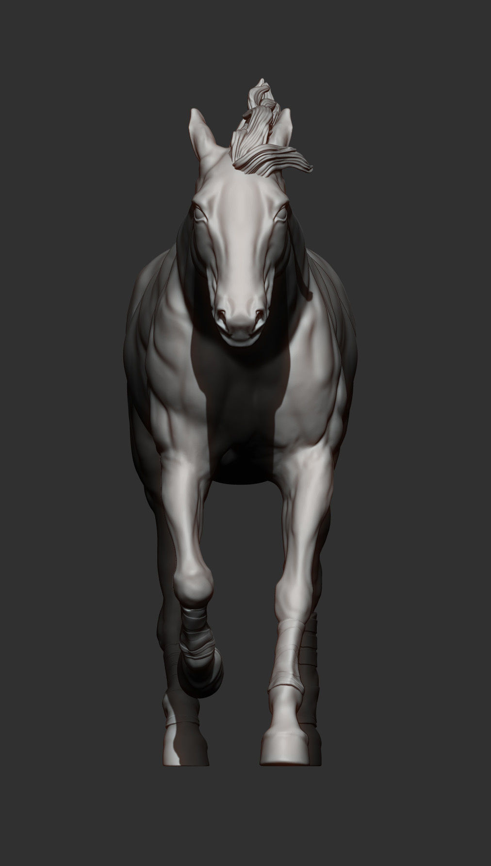 Racehorse horse running 3D print model_12