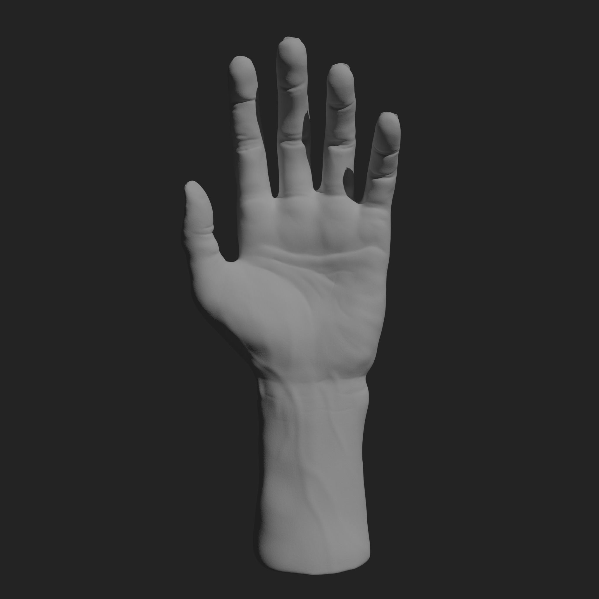 HumanHand 3D print model_1