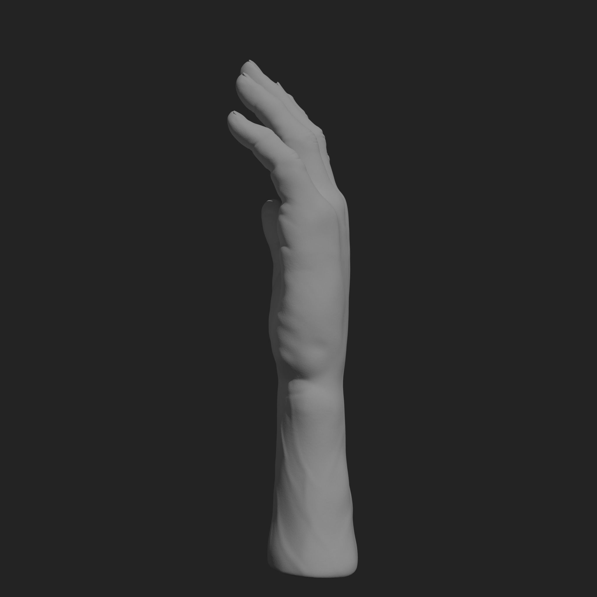 HumanHand 3D print model_2