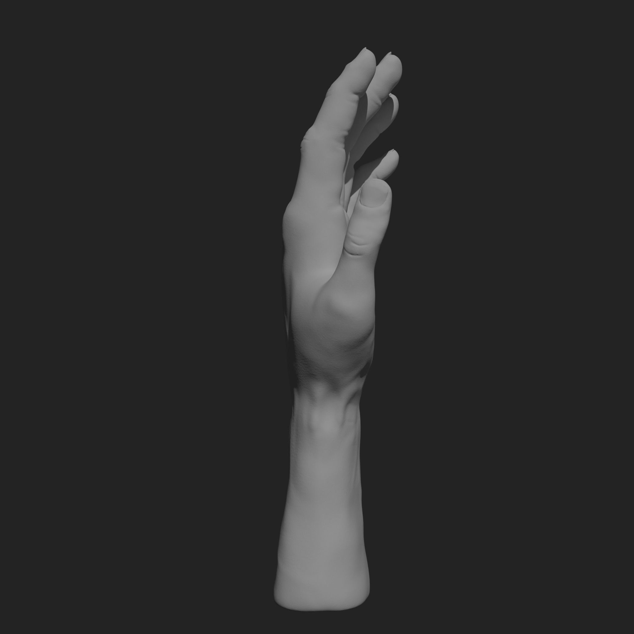 HumanHand 3D print model_5