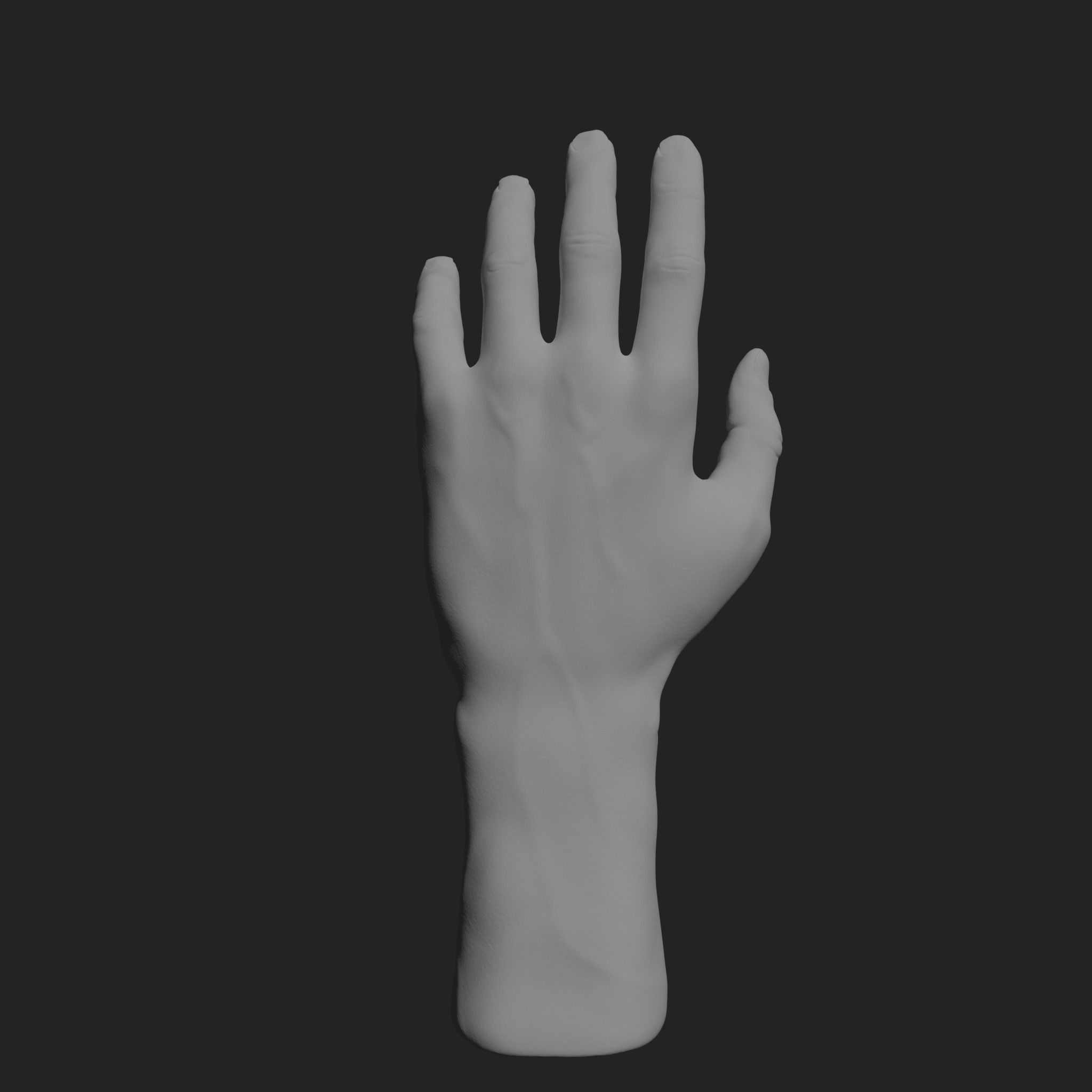 HumanHand 3D print model_0