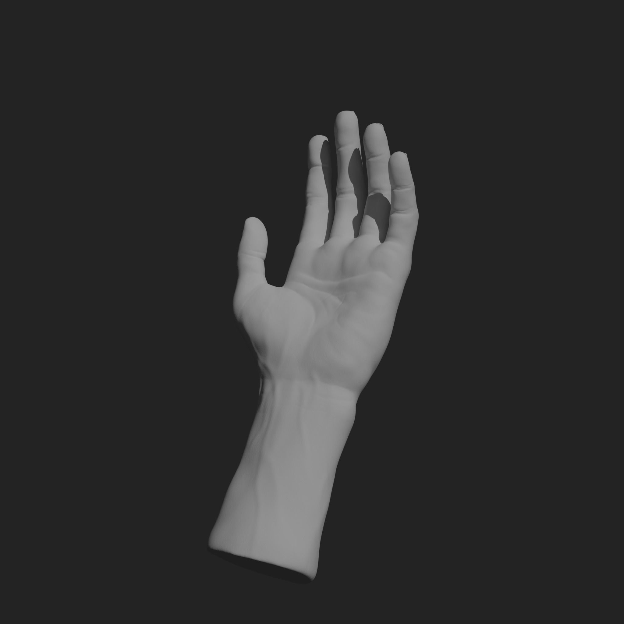 HumanHand 3D print model_3