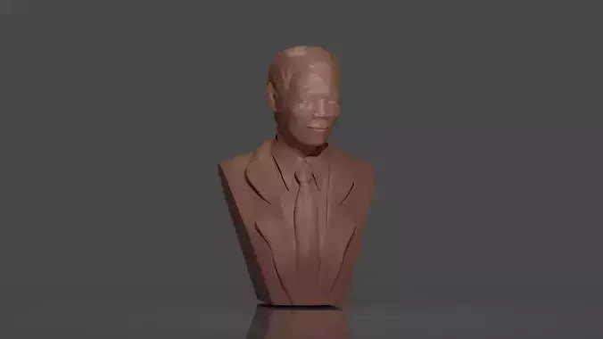 Nelson Mandela bust