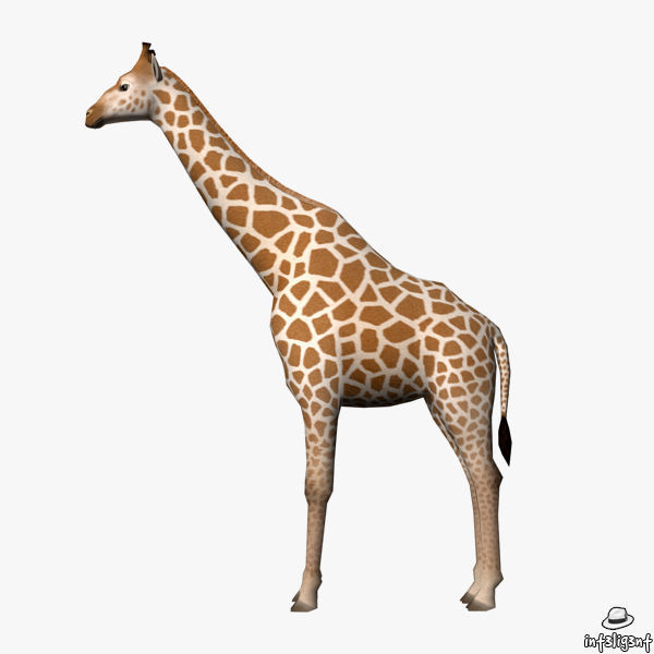 Giraffe Low-poly 3D model_2