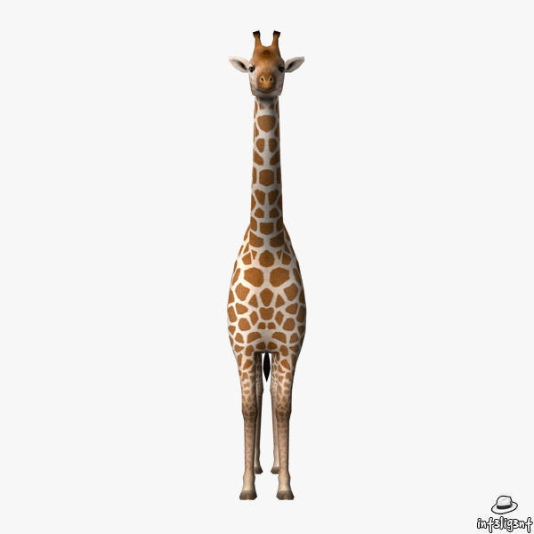 Giraffe Low-poly 3D model_1
