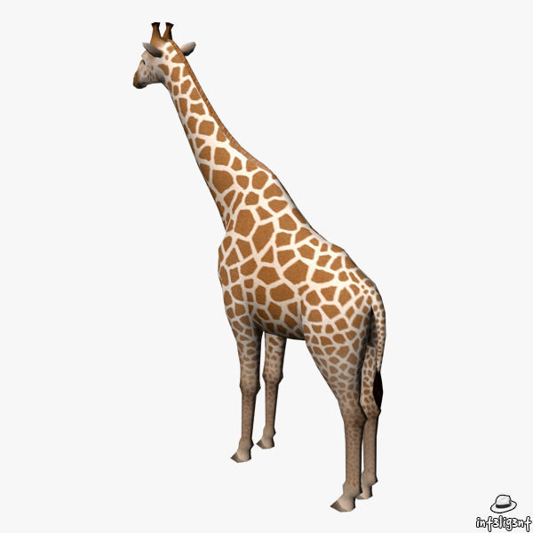 Giraffe Low-poly 3D model_3