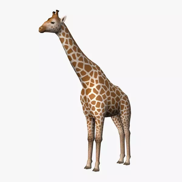 Giraffe Low-poly 3D model_0