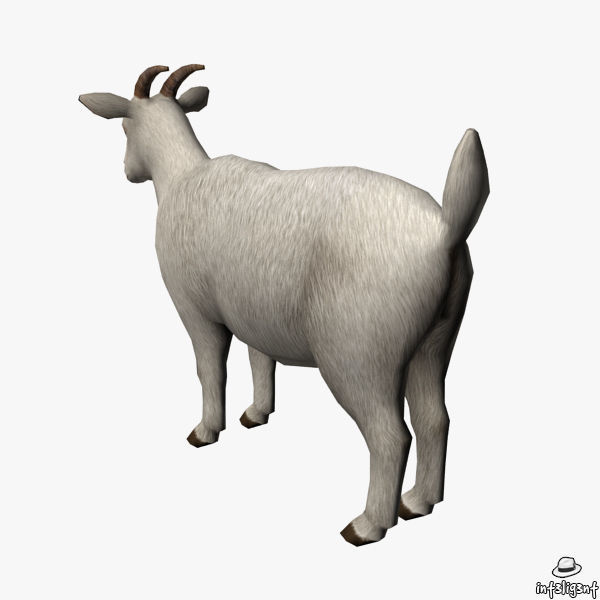 Goat 3D Low-poly 3D model_3