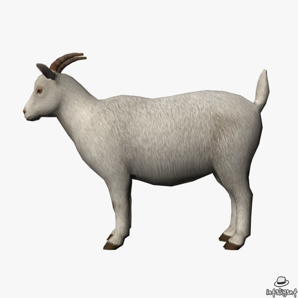 Goat 3D Low-poly 3D model_2