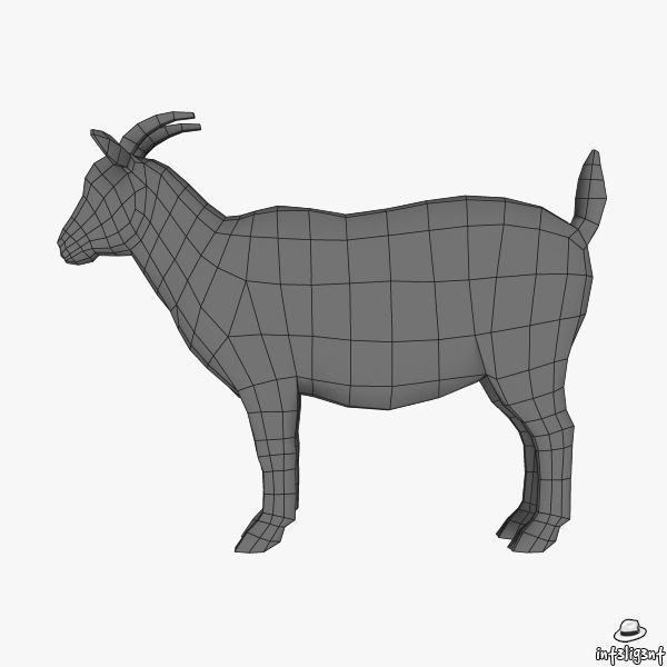 Goat 3D Low-poly 3D model_5
