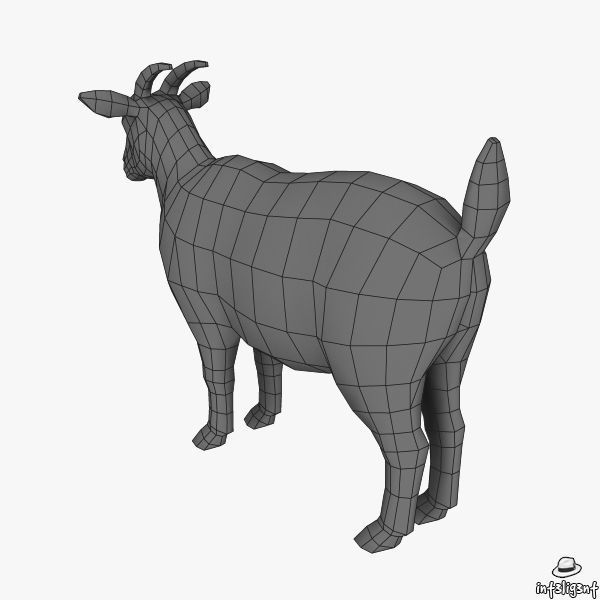 Goat 3D Low-poly 3D model_6