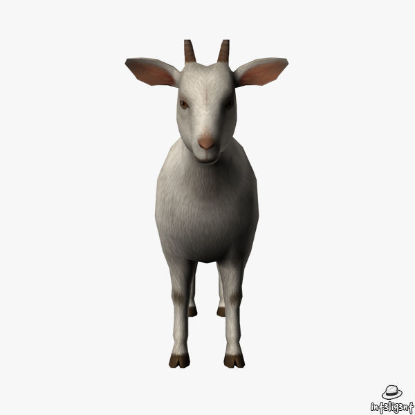 Goat 3D Low-poly 3D model_1