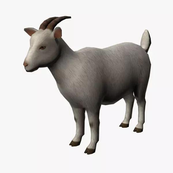 Goat 3D Low-poly 3D model_0