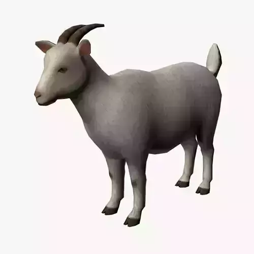 Goat 3D