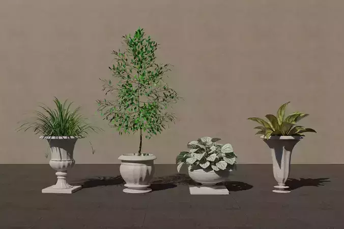 Set of potted plants for the garden