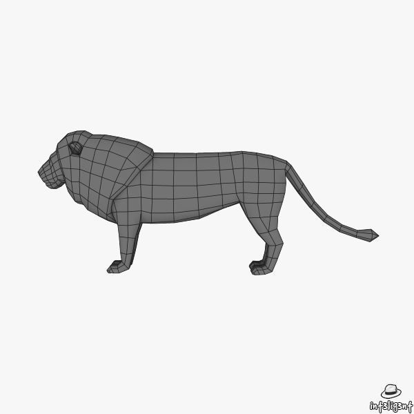 Lion Male Low-poly 3D model_5