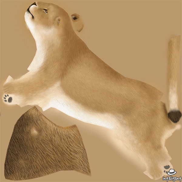 Lion Male Low-poly 3D model_8