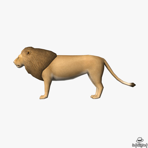Lion Male Low-poly 3D model_2