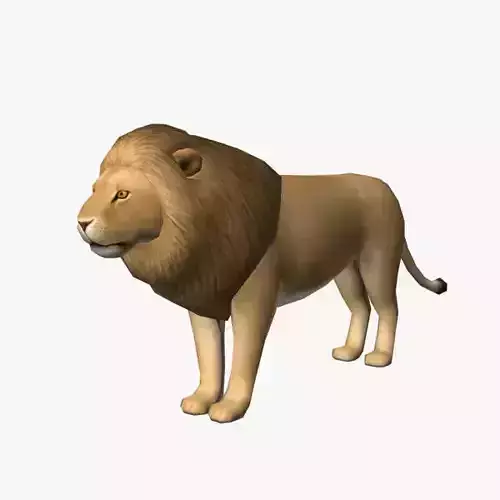 Lion Male
