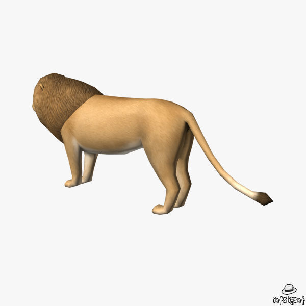 Lion Male Low-poly 3D model_3