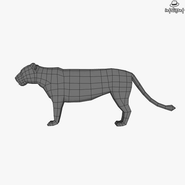 Lion Female Low-poly 3D model_5