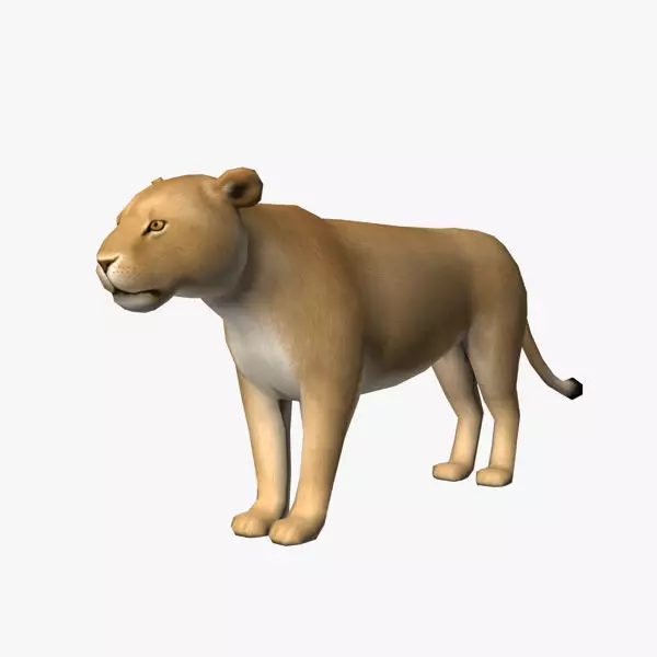 Lion Female Low-poly 3D model_0