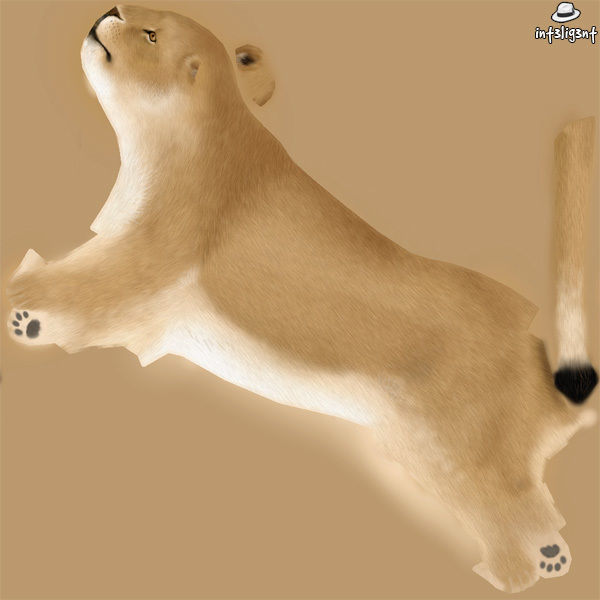 Lion Female Low-poly 3D model_8