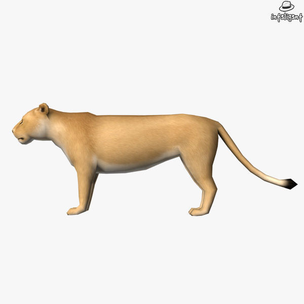 Lion Female Low-poly 3D model_2
