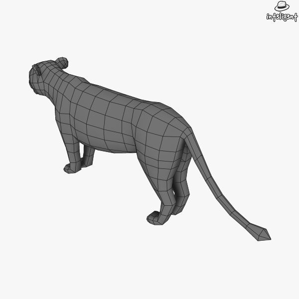 Lion Female Low-poly 3D model_6