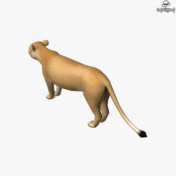 Lion Female Low-poly 3D model_3