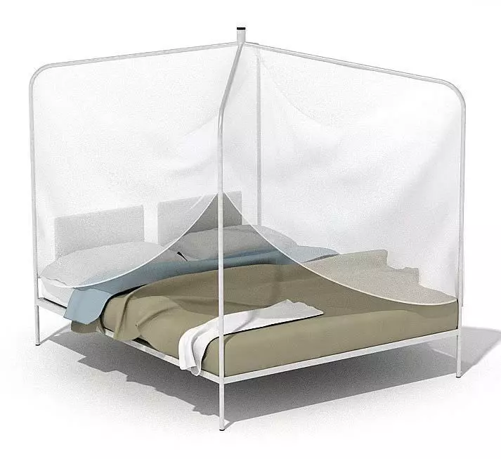 Bed With A Net Cover 3D model_0