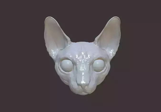 Cat Sphynx Head 