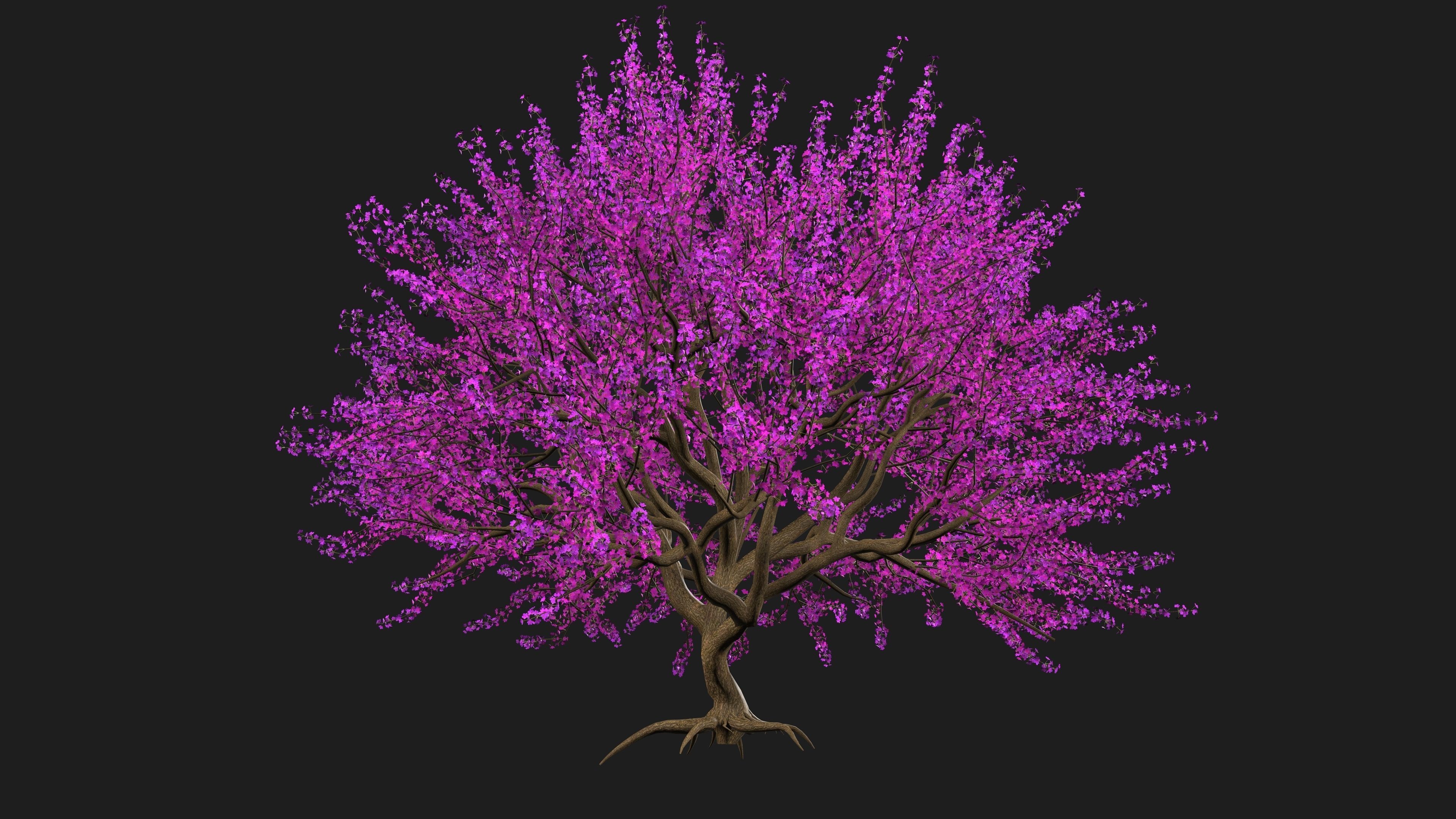 Tree Cherry Blossoms 3D model_7
