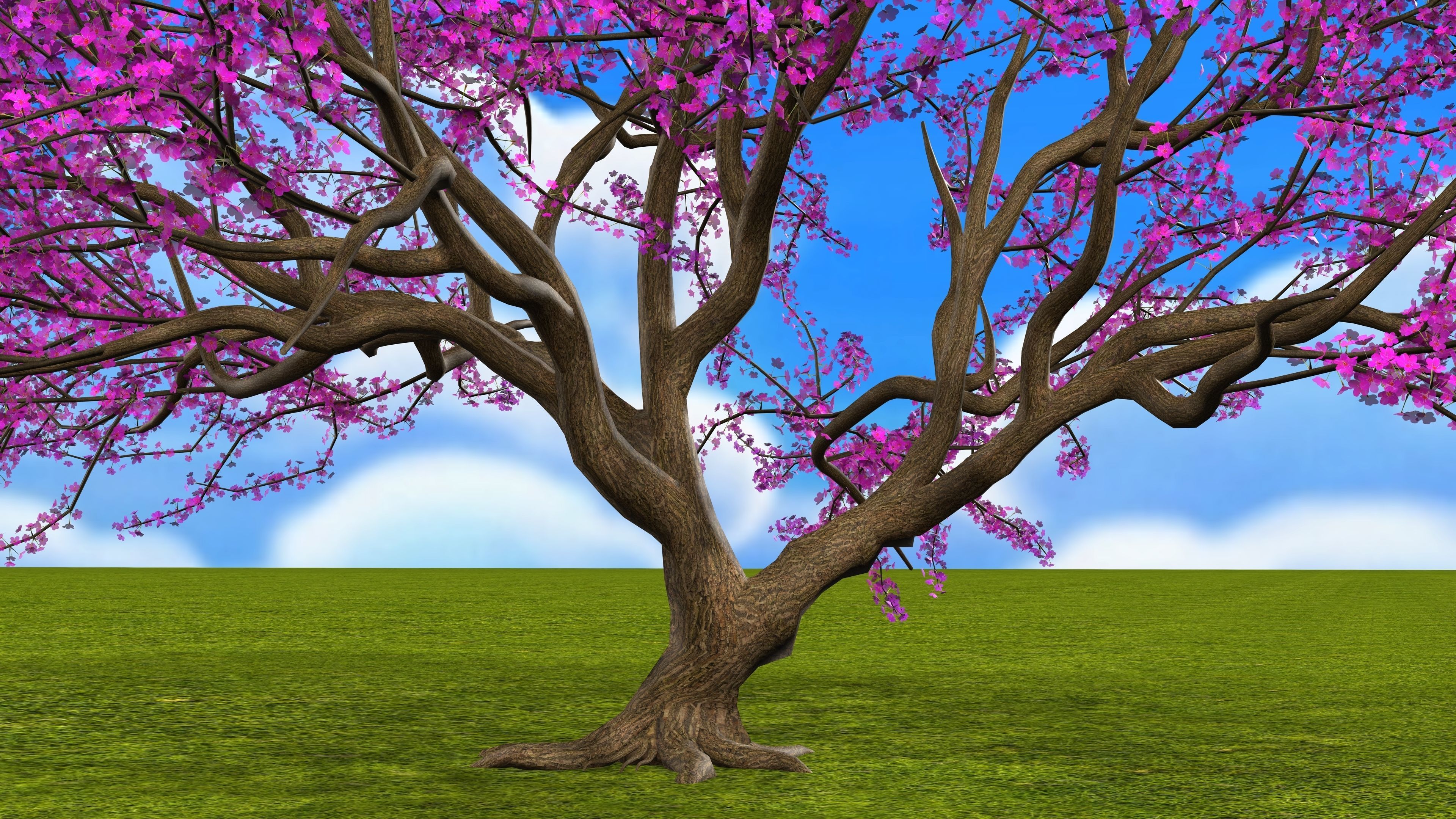 Tree Cherry Blossoms 3D model_2