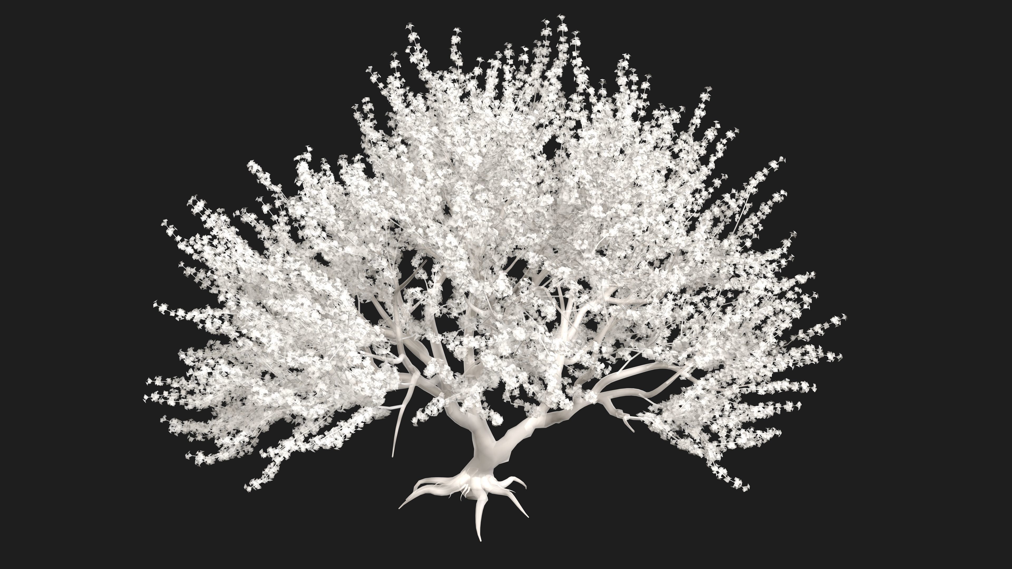Tree Cherry Blossoms 3D model_11