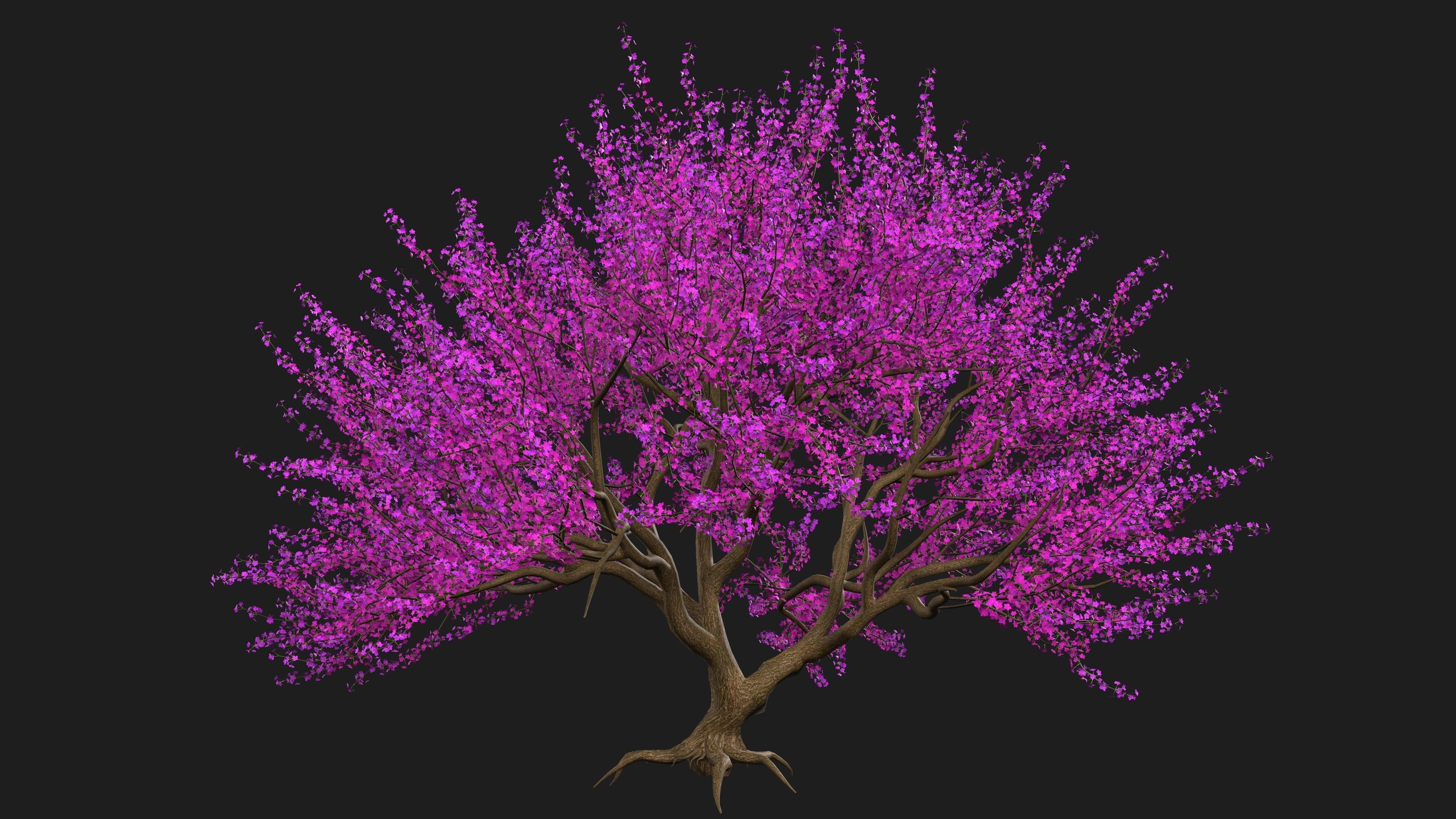 Tree Cherry Blossoms 3D model_6