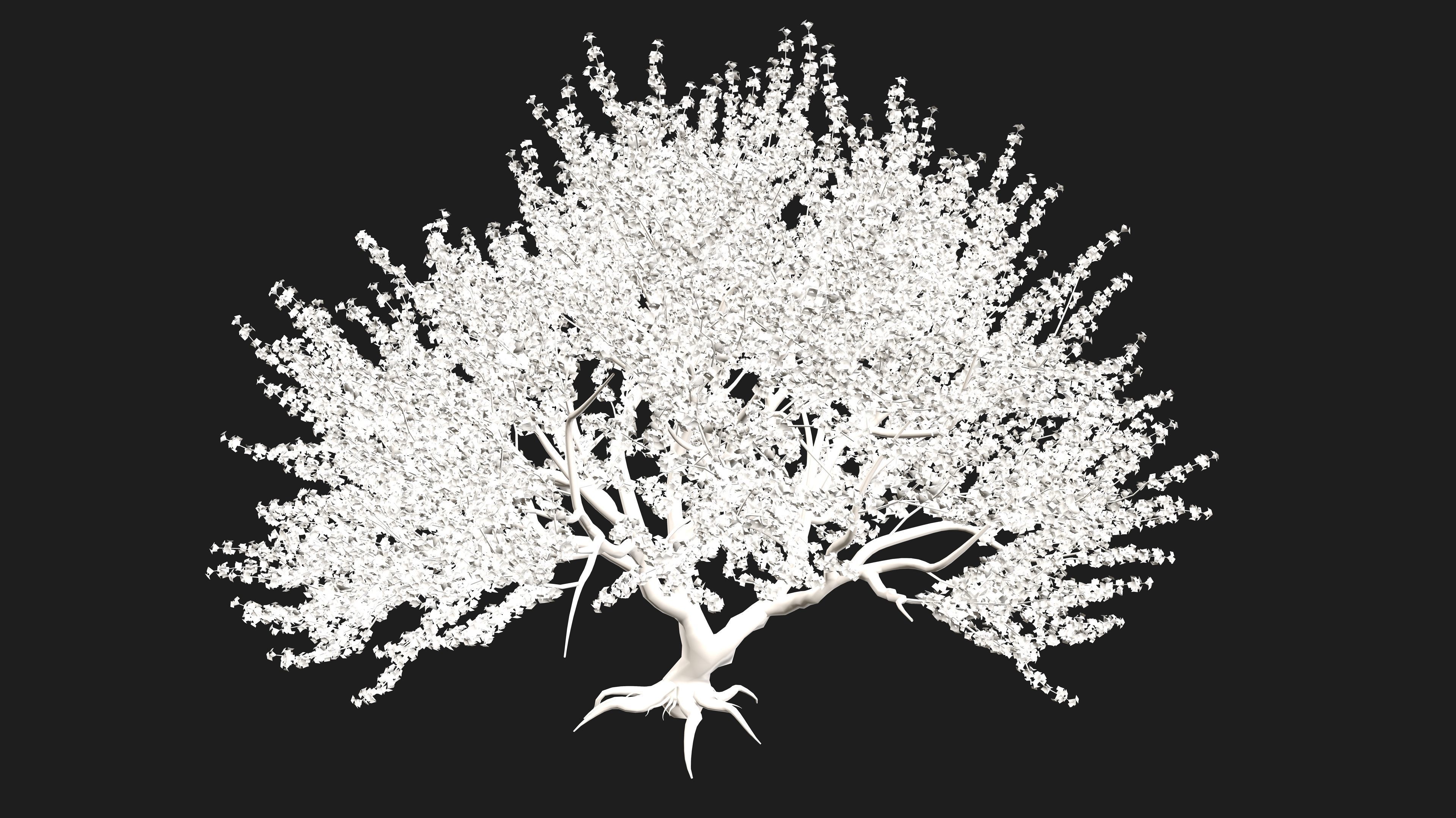 Tree Cherry Blossoms 3D model_10