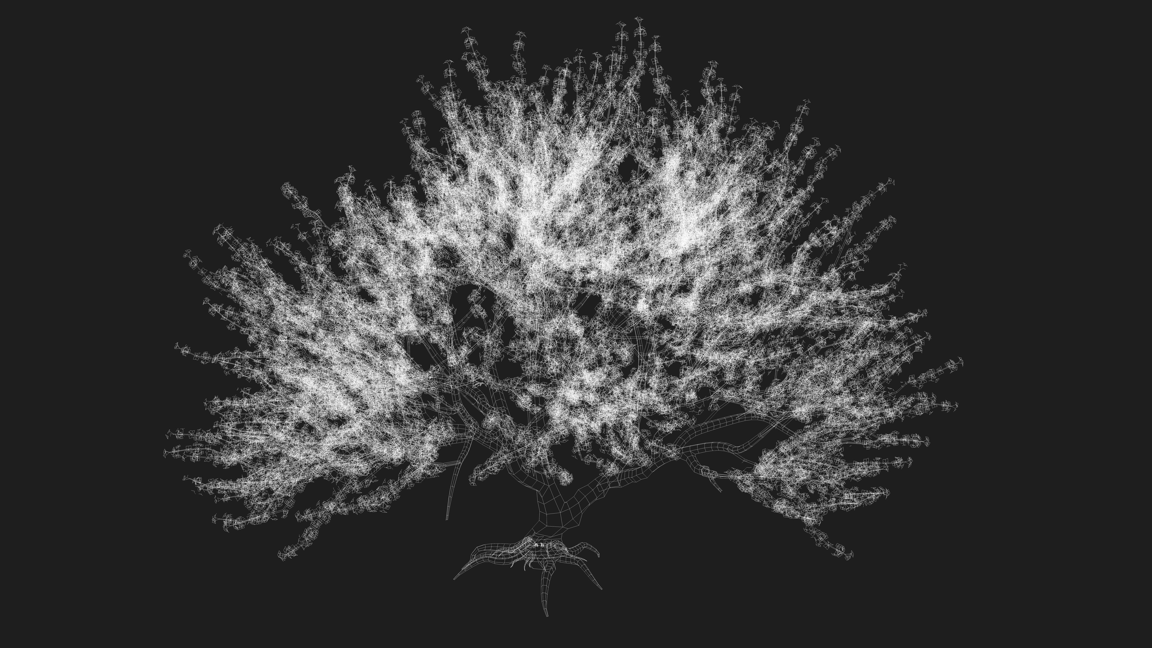 Tree Cherry Blossoms 3D model_12