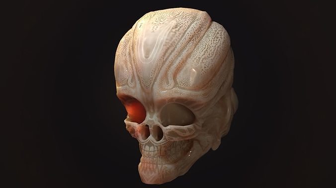 Alien Skull Low-poly 3D model