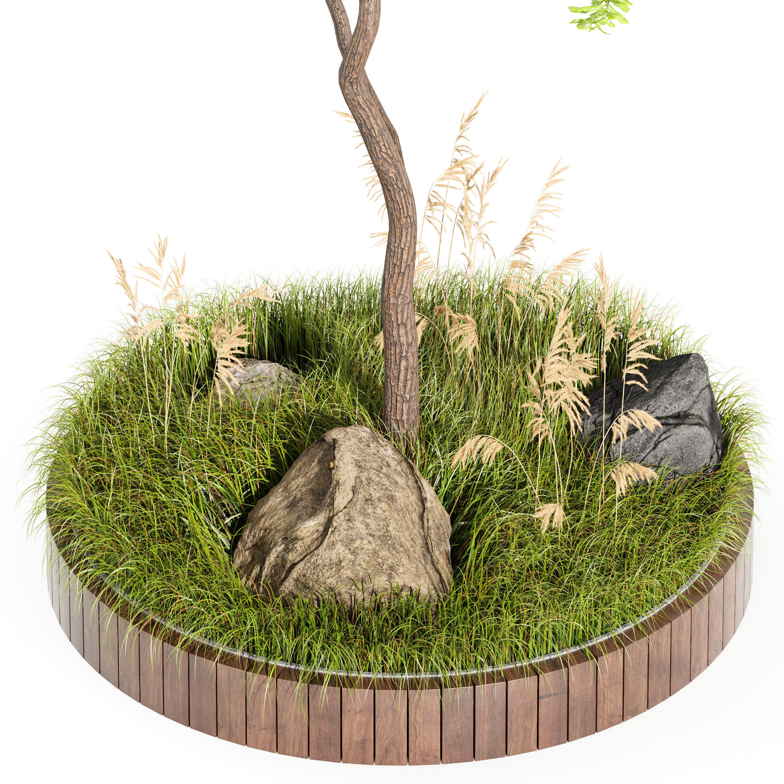 Outdoor Plant Set 001 Plant Square 3D model_1