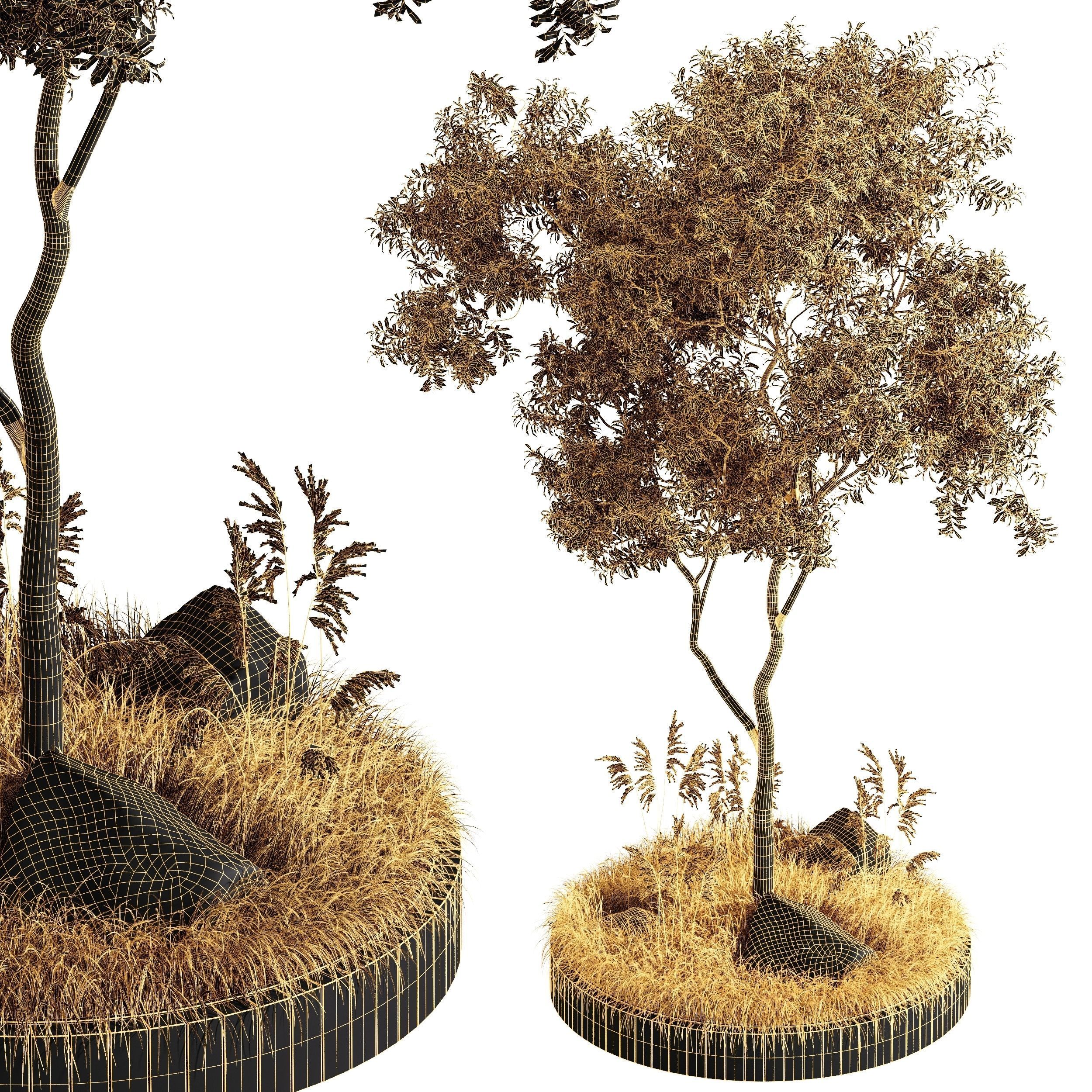 Outdoor Plant Set 001 Plant Square 3D model_4