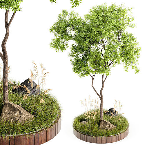 Outdoor Plant Set 001 Plant Square 3D model