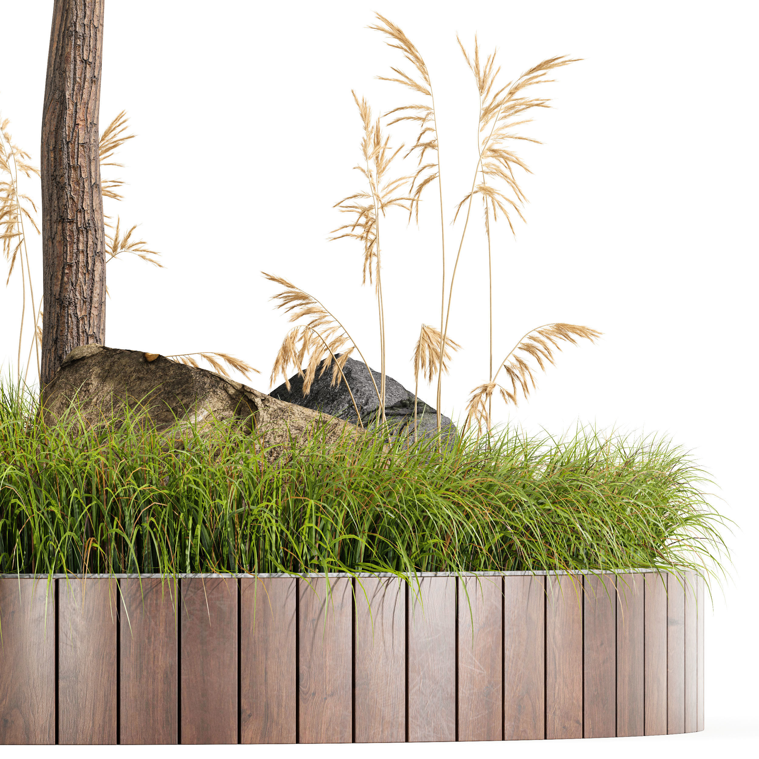 Outdoor Plant Set 001 Plant Square 3D model_3