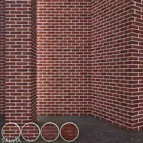 Vandersanden Brick Salvia