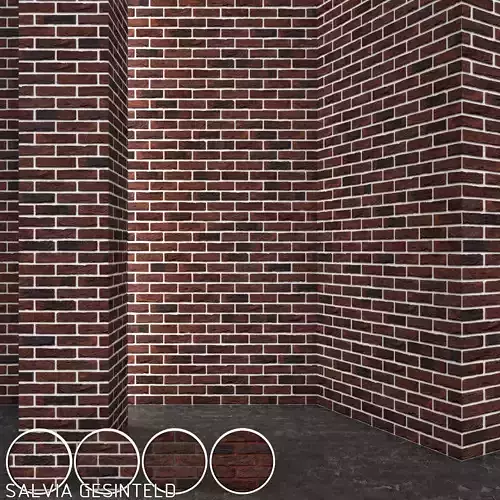 Vandersanden Brick Salvia Gesinteld
