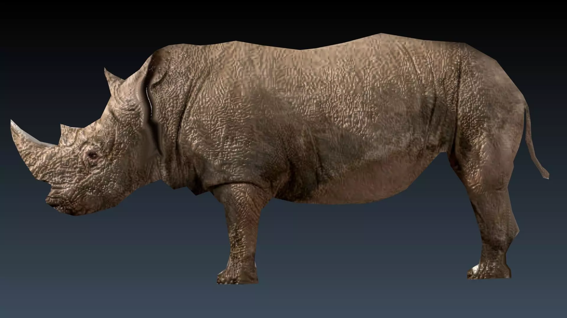 Rinosaurs rhinoceros Low-poly 3D model_0