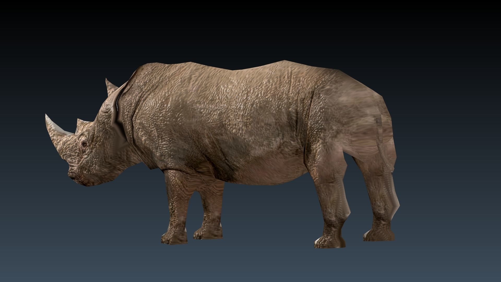 Rinosaurs rhinoceros Low-poly 3D model_4
