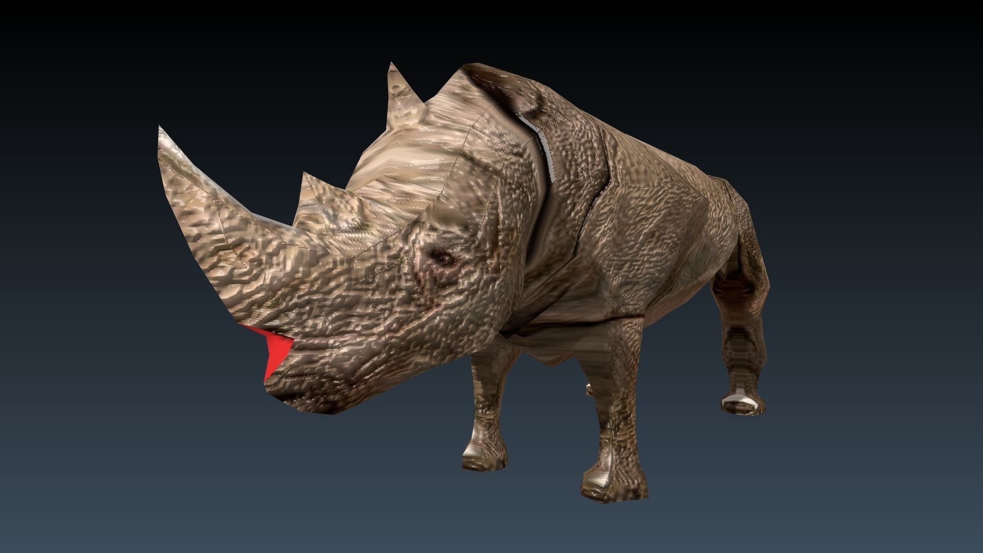 Rinosaurs rhinoceros Low-poly 3D model_6