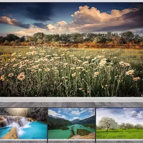 Photo Wallpaper No 23