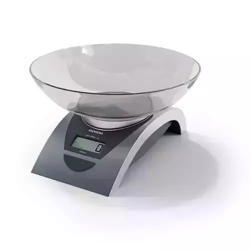 Silver Kitchen Scale